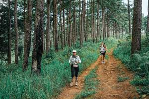 BIB: 
                            <button type="button" onclick="openModal(25661922)" class="btn btn-primary btn-sm float-right btn-popup" data-toggle="modal" data-target=".modal-high-quality">
                        <i class="fas fa-shopping-cart"></i> Add to Cart
                    </button>
                                            <button type="button" onclick="isThisMe(25661922, true)" class="btn btn-success btn-sm float-right btn-popup btn-isme hidden" data-toggle="tooltip" data-placement="bottom" title="นี่คือรูปของคุณใช่ไหม คลิกที่นี่เพื่อเอาเข้าอัลบั้ม">
                        <i class="fas fa-plus"></i> Add to album
                    </button>
                    <button type="button" onclick="isThisMe(25661922, false)" class="btn btn-warning btn-sm float-right btn-popup btn-isnotme hidden">
                        <i class="fas fa-ban"></i> Remove from album
                    </button>